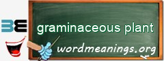 WordMeaning blackboard for graminaceous plant
